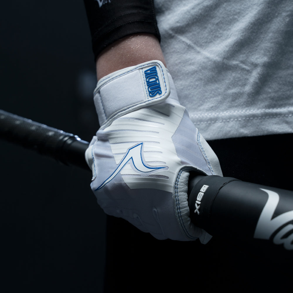 ヴィクタス バッティンググローブ（大人用） – マルチ＆ヴィクタス